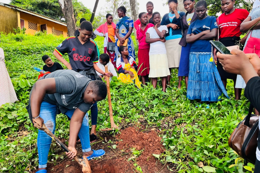 A tree-planting day with the community