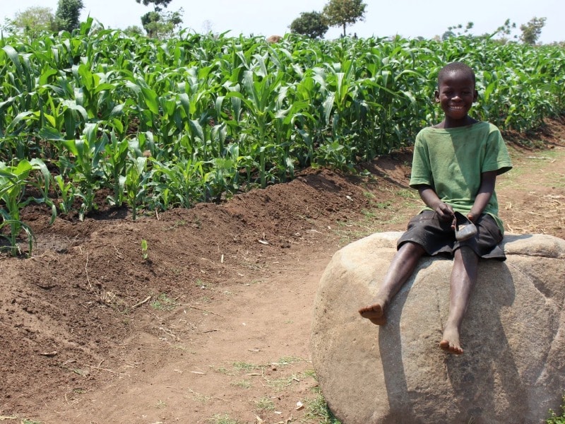 Agriculture